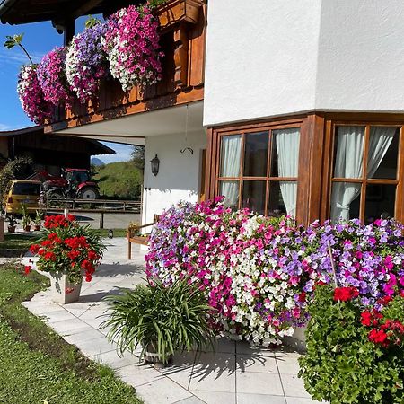 Gaestehaus Seeklause Schwangau Exteriör bild