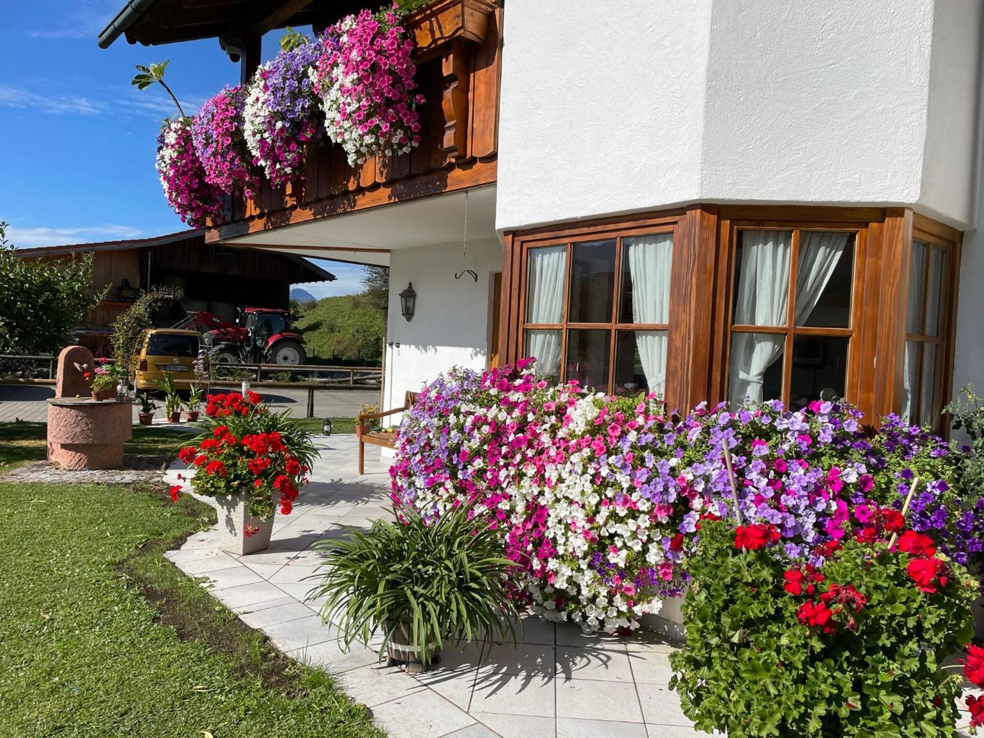 Gaestehaus Seeklause Schwangau Exteriör bild