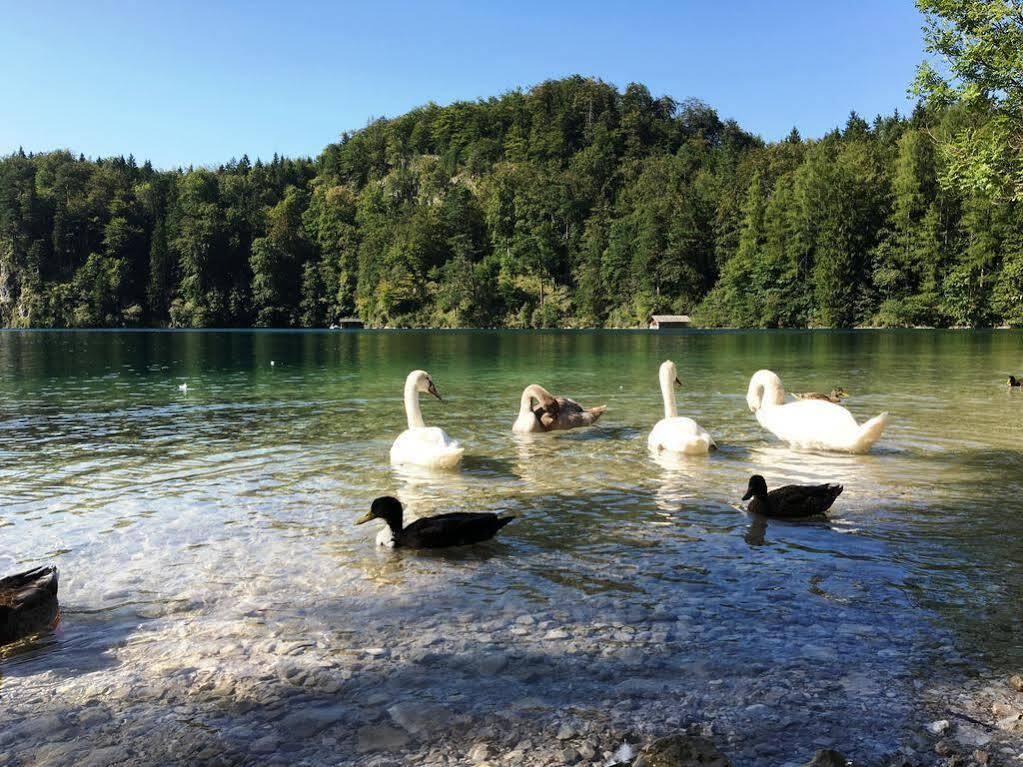 Gaestehaus Seeklause Schwangau Exteriör bild